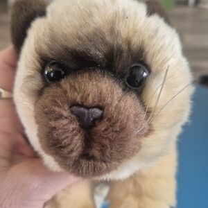 Animal Alley Cat Plush Stuffed Animal Cat Lovers